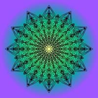 details round black mandala design with gradient background vector