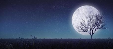 luna llena con árbol de silueta y pradera.vista panorámica.representación 3d foto