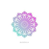 mandalas aisladas vector color de moda decoración pacífica potenciador de energía para marca y web o elemento de impresión