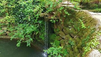 fuente verde en sintra. fuente verde en sintra foto