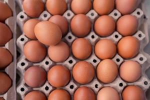 selective focus chicken egg on eggs in paper tray container photo