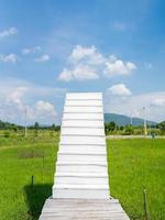 white stairs from green grass field garden up to cloud sky photo