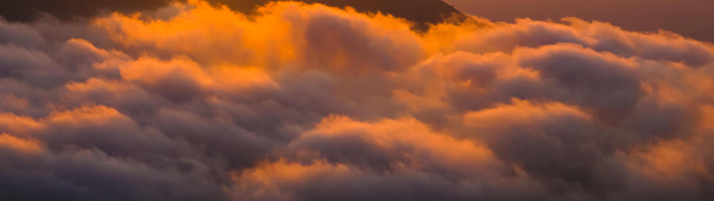 Golden Wallpaper Stock Photos, Images and Backgrounds for Free Download