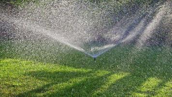 gotas de agua de la fuente que riega el aspersor de césped en el jardín video