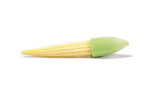 baby corn on white background photo