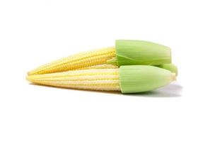 baby corn on white background photo