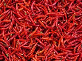 The top view of dried red chillies. Spicy flavor. Used for seasoning curry and tom yum. photo