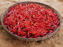The top view of dried red chillies. Spicy flavor. Used for seasoning curry and tom yum. photo
