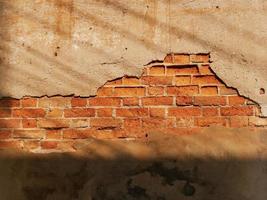 The old cement wall shines through. photo