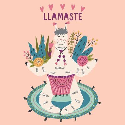 Lama in a yoga pose on a mat