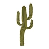 Green cactus with yellow prickles vector