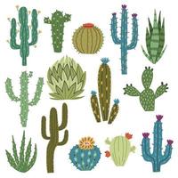 Set green multicolored cactus plants aloe succulents vector