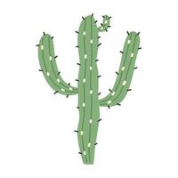 Salad green cactus vector