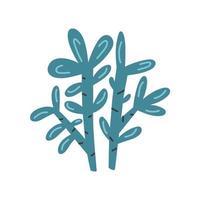 Blue succulent plant vector