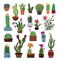 Set of Cactuses in Pots vector