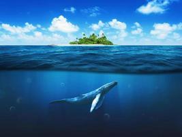 hermosa isla con palmeras. ballena bajo el agua foto
