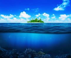 Beautiful island with palm trees in the ocean. Underwater photo