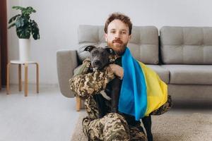 Ukrainian soldier wrapped in Ukrainian flag holds Amstaff dog in the arms in the office photo