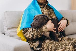 Ukrainian soldier wrapped in Ukrainian flag holds Amstaff dog in the arms in the office photo