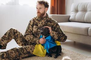 Ukrainian soldier hugging and wrapping his faithful friend's Ukrainian flag around an Amstaff dog in the office photo