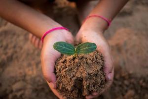 Children planting forests to reduce global warming, Concept afforest. photo