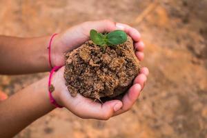 Children planting forests to reduce global warming, Concept afforest. photo