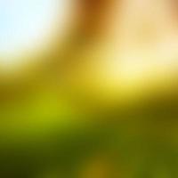 Blurred Backgrounds, Blur Abstract Backgrounds, Beautiful and Bright Abstract Backgrounds are used for creative decorations. photo