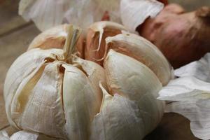 photo of garlic for your design needs
