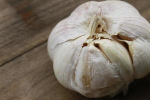 photo of garlic for your design needs