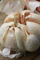 photo of garlic for your design needs