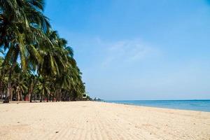 Landscape summer panorama front view tropical palm and coconut trees sea beach blue white sand sky background calm Nature ocean Beautiful  wave water travel Bangsaen Beach East thailand Chonburi photo