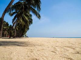 Landscape summer panorama front view tropical palm and coconut trees sea beach blue white sand sky background calm Nature ocean Beautiful  wave water travel Bangsaen Beach East thailand Chonburi photo