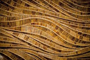 nature background of brown handicraft weave texture bamboo surface photo