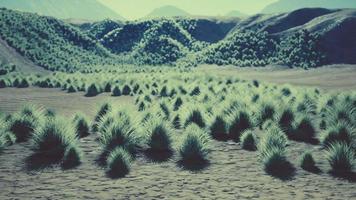 paesaggio del deserto del gobi in mongolia video