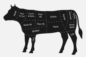 Cuts of beef vector