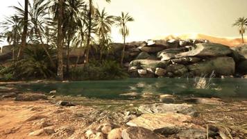 scène colorée avec un palmier au-dessus d'un petit étang dans une oasis du désert video