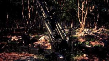 cañón de arma grande en el bosque video