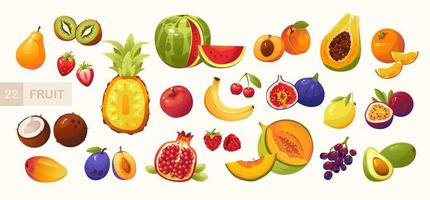 frutas y bayas ilustración vectorial en estilo de dibujos animados. jugosas frutas de verano.gran conjunto de frutas vector