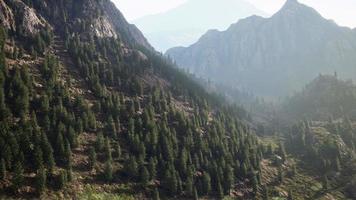 chaîne de montagnes avec vallée et forêt video