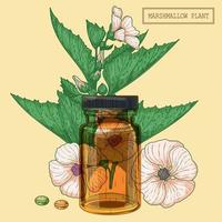 planta de malvavisco medicinal y vial de vidrio marrón, ilustración botánica dibujada a mano en un estilo moderno y moderno vector