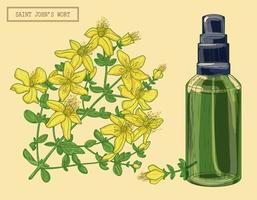 Medical Saint Johns wort blooming branch and sprayer, hand drawn botanical illustration in a trendy modern style vector