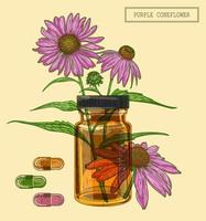 rama de coneflower médica y flacon y pillsr, ilustración dibujada a mano en un estilo retro vector