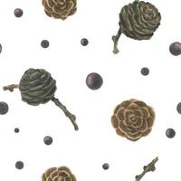 Larch cones and berries on the white snow field, botanical traced watercolor seamless pattern vector