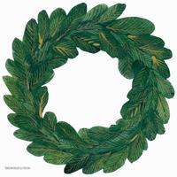 Christmas Wreath Green Fur Base Ring, watercolor illustration with clipping path vector