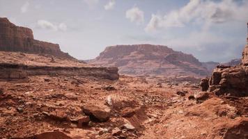 Grand Canyon in Arizona at sunny day video