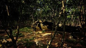 Military helicopter in deep jungle video