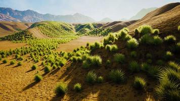 paesaggio del deserto del gobi in mongolia
