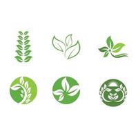 logotipos de vector de elemento de naturaleza de ecología de hoja de árbol verde