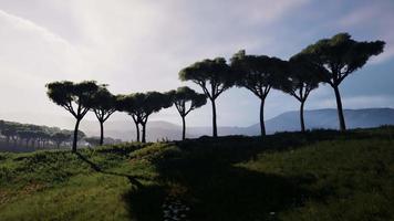 voando sobre os campos que cobrem a vasta paisagem africana video