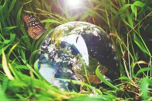 The crystal ball with the world on the grass. concept of the world and nature photo